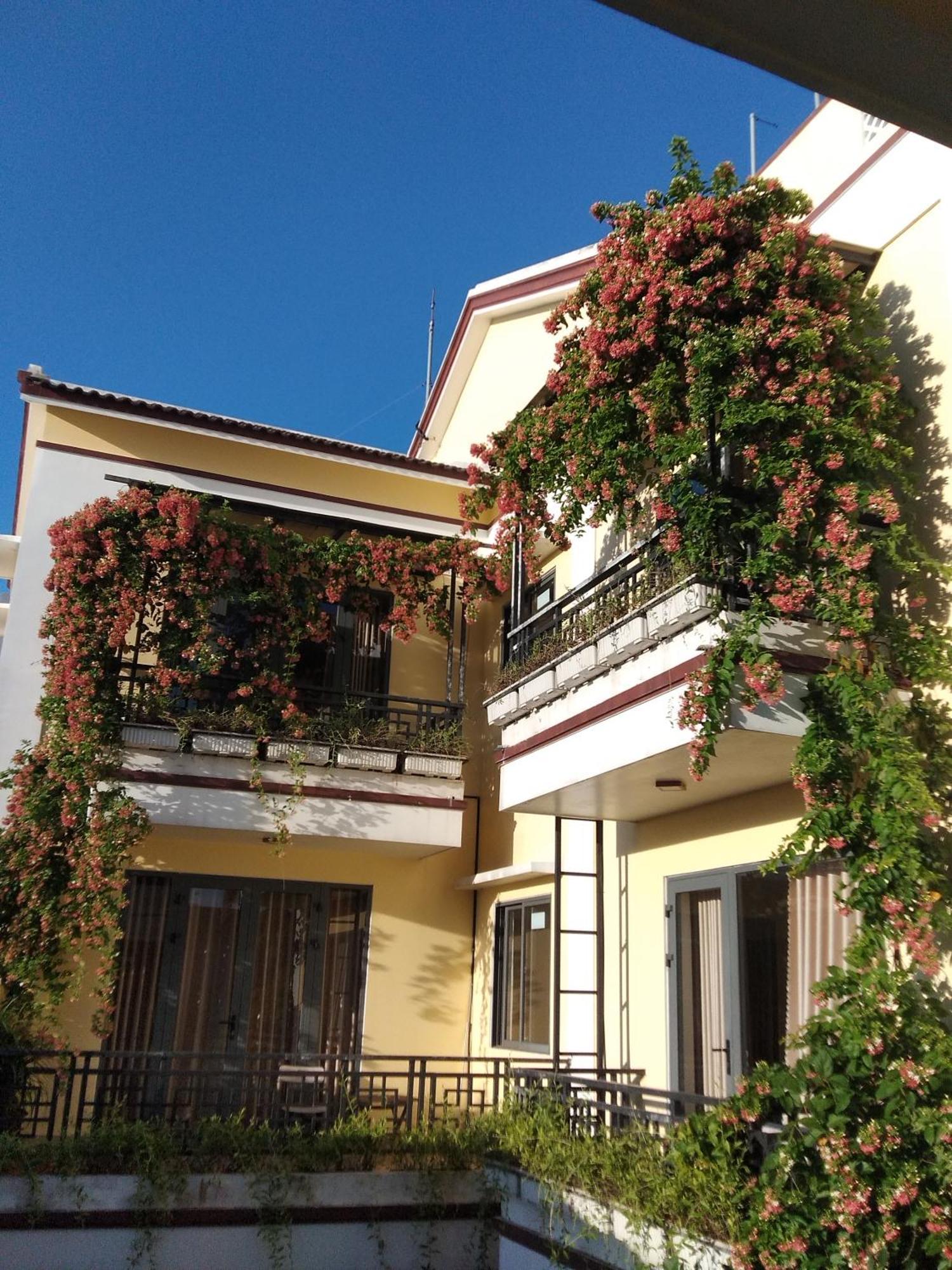 Homestay Town Of Viet House *